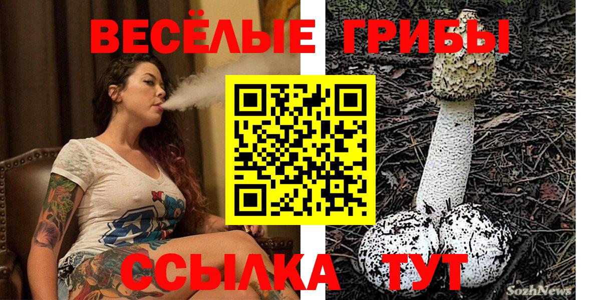 Галлюциногенные грибы MAGIC MUSHROOMS  Галлюциногенные грибы MAGIC MUSHROOMS  Нижний Тагил  Вход с VPN 